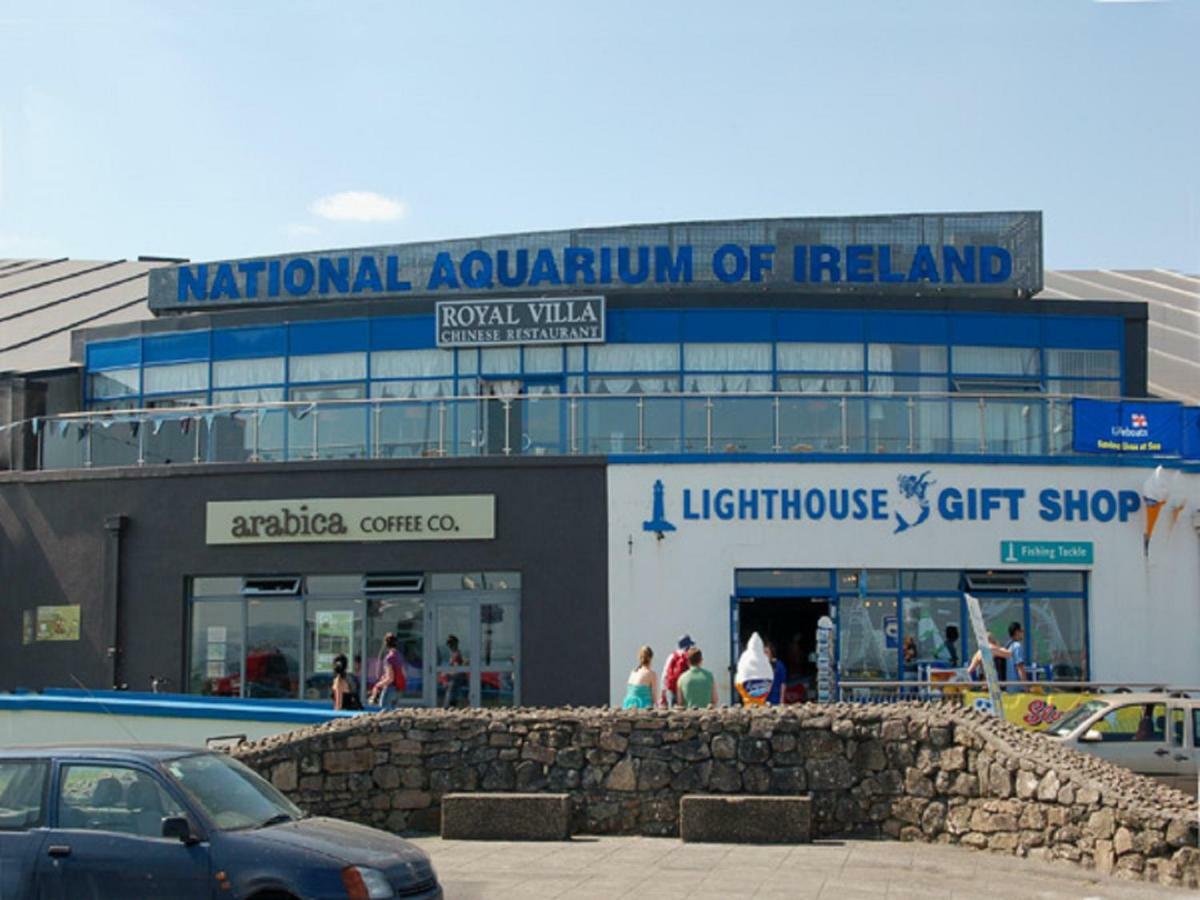 Frank'S Villa Galway Kültér fotó