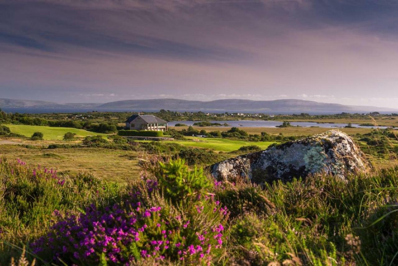 Frank'S Villa Galway Kültér fotó